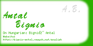 antal bignio business card